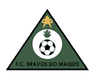 Emblema bravos